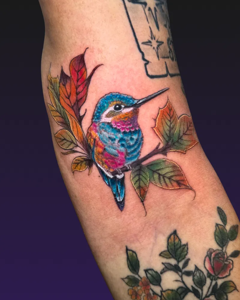 Colour kingfisher on a branch with maple leaves and roses